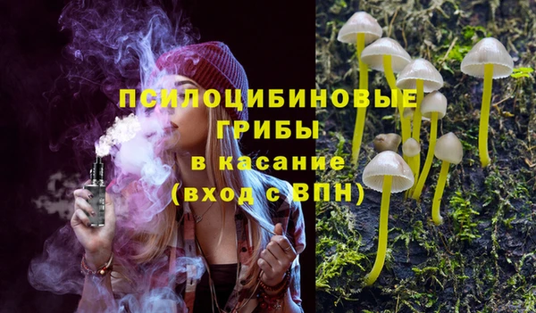 PSILOCYBIN Богородск