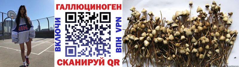 Псилоцибиновые грибы Magic Shrooms  Городовиковск 