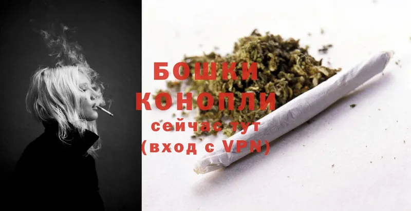 где купить наркоту  Городовиковск  Шишки марихуана OG Kush 